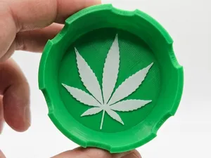 CINZEIRO FOLHA DE MACONHA