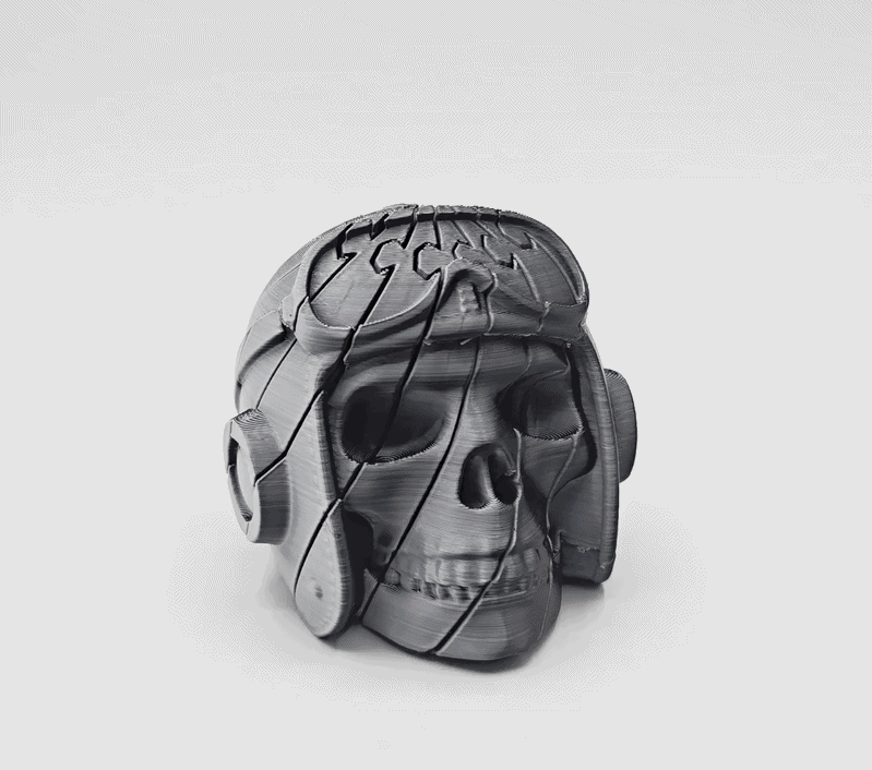 Branded Aviator Twist Skull Fidget