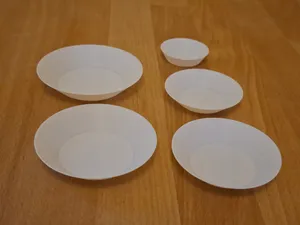 Disposable Micro Paint Dishes