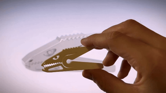 Shoe Clip