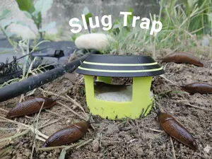 The Slimy Surprise