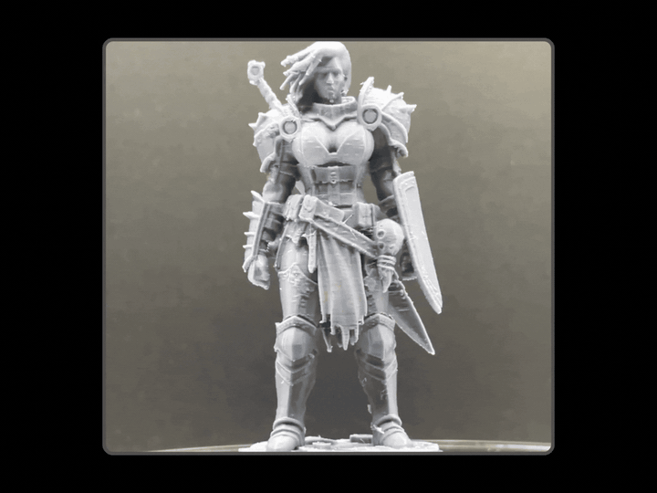Shieldmaiden Knight | Tabletop sized RPG Warrior