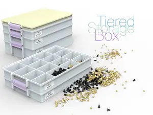 Tiered Storage Box