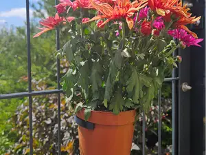 Blumentopfhalter für den Zaun (85-105mm)