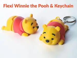 Flexi Winnie the Pooh & Keychain