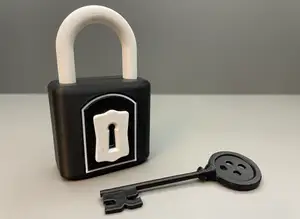 Coraline Key with Working Lock