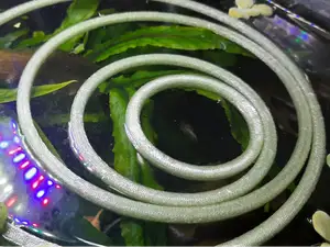 Fish tank floating rings