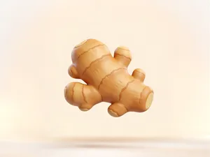 生姜-仿真蔬菜微缩食玩-儿童涂色过家家玩具