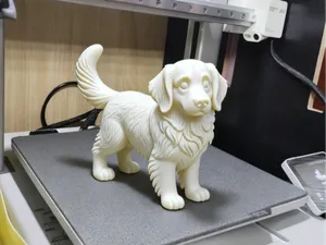 小狗 金毛 站姿