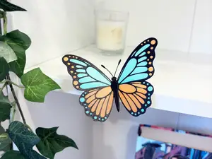 Papillon multicolore 