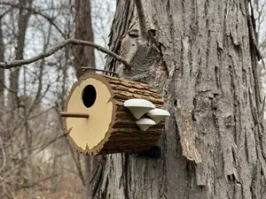 Log Birdhouse (Multipart)