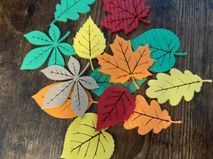 Autumn leaf magnets
