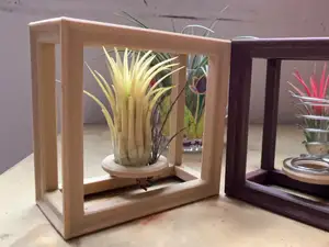 Air plant swing support