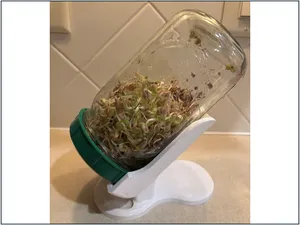 Sprouting Jar Stand with Drip Tray 
