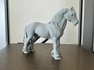 Shire Horse 