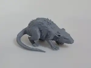 Giant Rat DND TableTop RPG