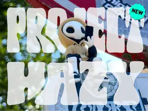 PROJECT HAZY - Art Toy (New 2026!)