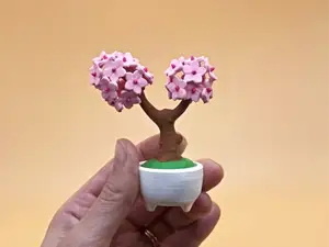 Mini Cherry-blossom Bonsai