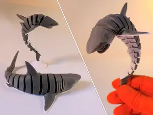 FLEXISHARK