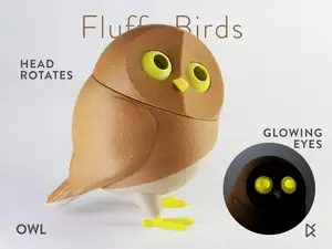 Fluffy Birds - Owl