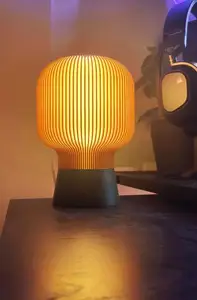 Tabletop Lamp (Vase Mode lampshade)