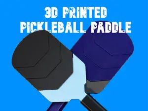 Working Pickleball Paddle