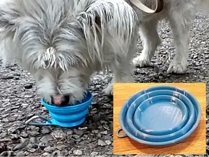 Collapsible Water Bowl (TPU)