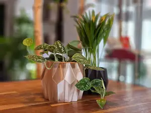 GeoGrow - Geometric Planter AirFlow Planter Pot