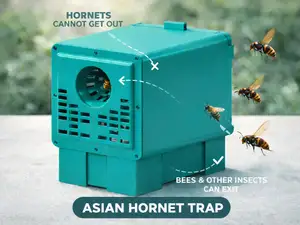 Piège à frelons asiatiques - Abeilles épargnées