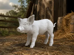 Piglet - Pig - Animal - Zoo - Farm
