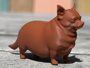 Fat Chihuahua