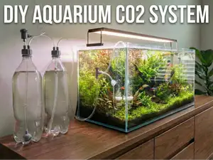 DIY co2 Aquarium bottle cap V2