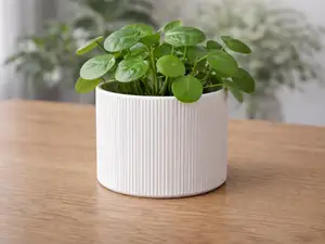 Modern Fluted Planter - Minimalist Ribbed Pot