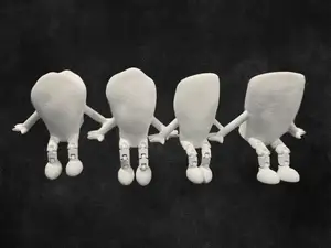 Toothie Buddies - Central lateral canine bicuspid
