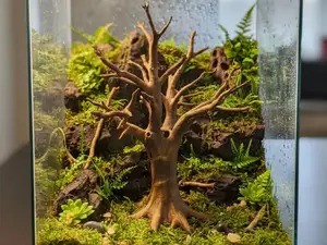 Old Tree - A