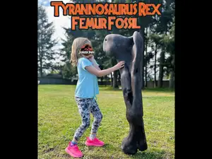 Tyrannosaurus Rex Femur Bone/Fossil