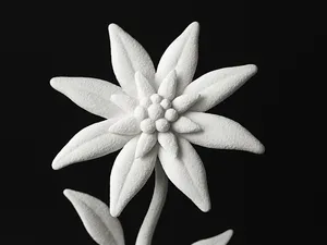 Edelweiss – Alpine Flower Sculpture