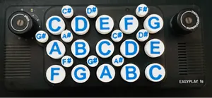 Easyplay1S Note Keys