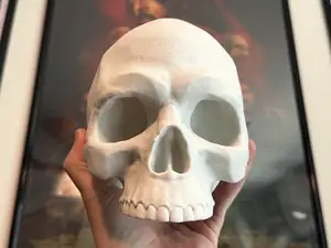 Sneaky Skull - Full Size Skull With Hidden Stash