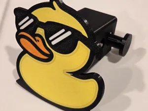 Sunglasses Duck 2" hitch cover