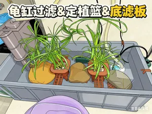 小缸过滤、定植篮、底滤板(周转箱、6mm玻璃、8mm可以用)