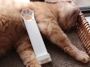 猫条喂食勺