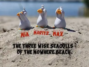 The Three Wise Seagulls of the Nowhere Beach