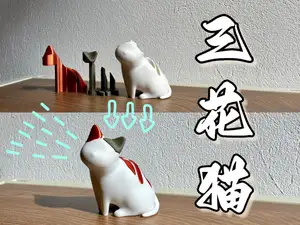 三花猫
