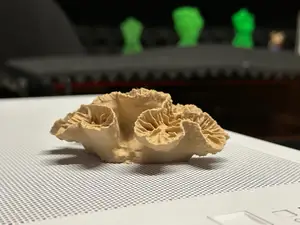 Aquarium Koralle Deko