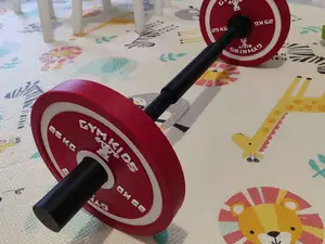 Gym Kids - Mini Powerlifting Kit for Kids