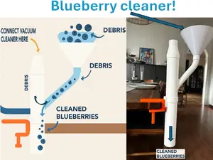 Blueberry cleaner