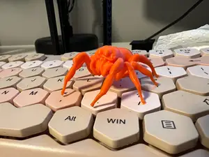 Jumping Spider