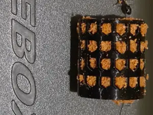 Carp inline cage feeder
