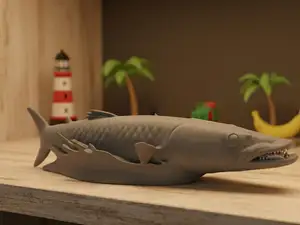 Barracuda